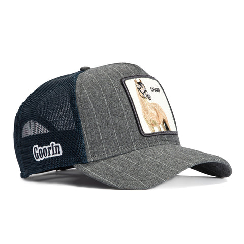 Goorin Bros Suited Champ Adjustable Trucker Snapback Hat - Graphite Pinstripe, Navy