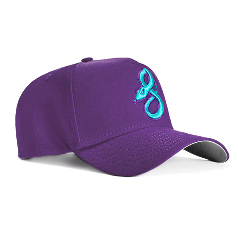 New Era 9Forty A-Frame Arizona Diamondbacks 2025 City Connect Snake Snapback Hat - Purple